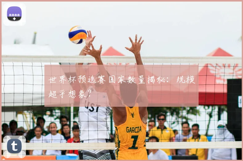 世界杯预选赛国家数量揭秘:规模超乎想象?