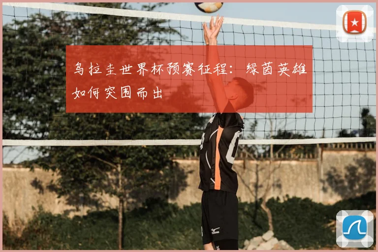 乌拉圭世界杯预赛征程:绿茵英雄如何突围而出