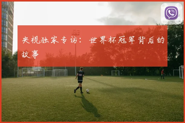 央视独家专访：世界杯冠军背后的故事