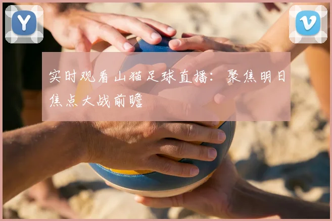 实时观看山猫足球直播：聚焦明日焦点大战前瞻