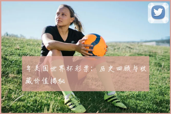 年美国世界杯彩票：历史回顾与收藏价值揭秘