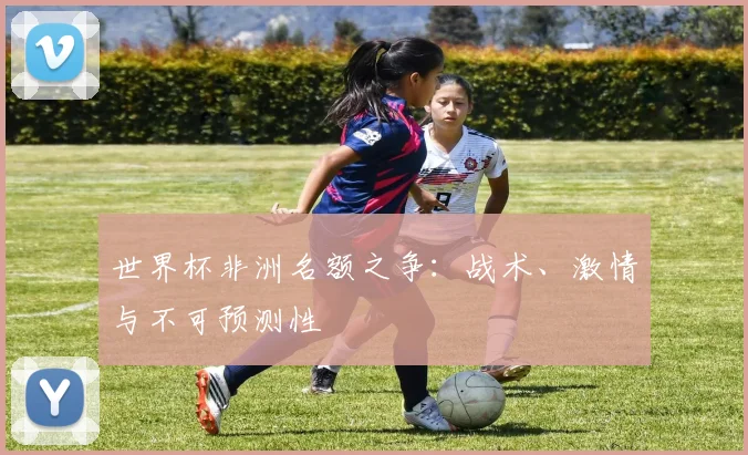世界杯非洲名额之争：战术、激情与不可预测性