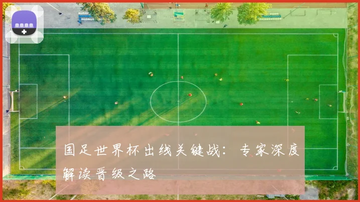 国足世界杯出线关键战：专家深度解读晋级之路