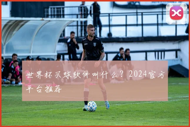 世界杯买球软件叫什么？2024官方平台推荐